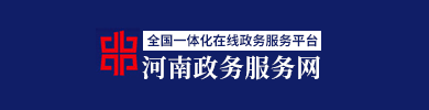 河南政务服务网