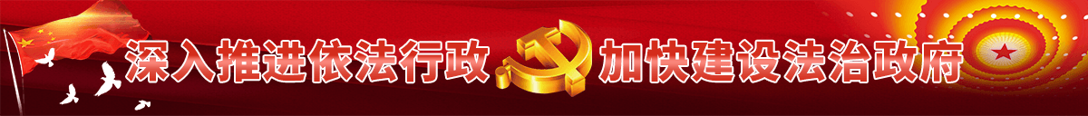 法治政府建设