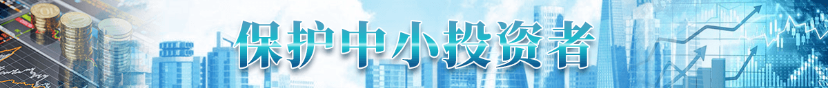 保护中小投资者